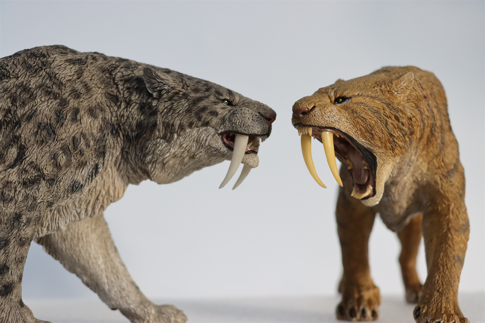 REBOR 1:11 Smilodon Populator Stray Cat Figure Ice Age Ver Plain Ver 2 Head Collector Toy Animal Model Christmas Decorations