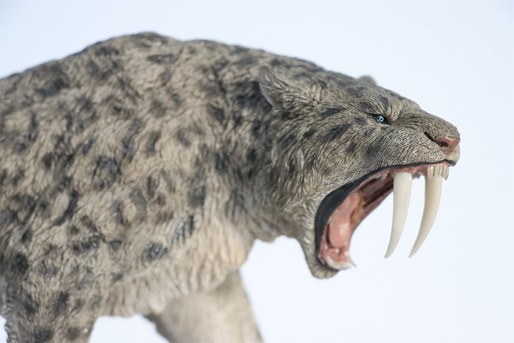 REBOR 1:11 Smilodon Populator Stray Cat Figure Ice Age Ver Plain Ver 2 Head Collector Toy Animal Model Christmas Decorations