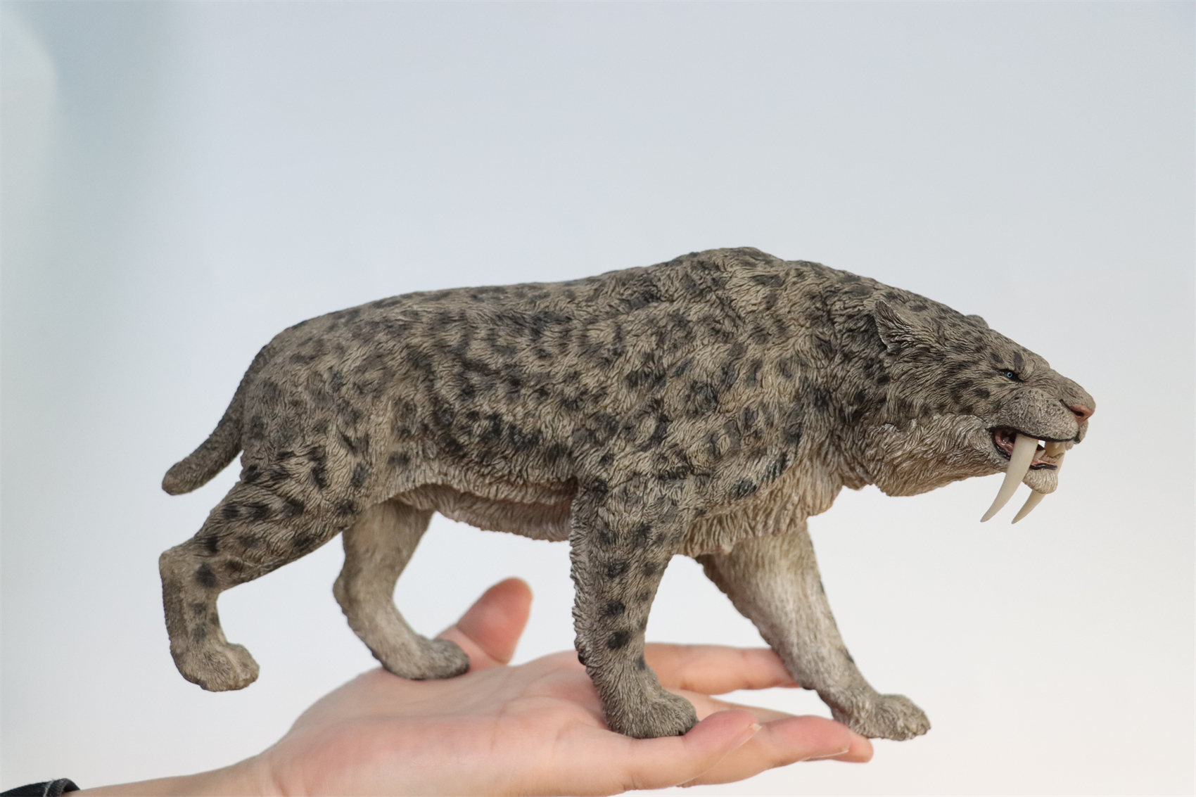 REBOR 1:11 Smilodon Populator Stray Cat Figure Ice Age Ver Plain Ver 2 Head Collector Toy Animal Model Christmas Decorations