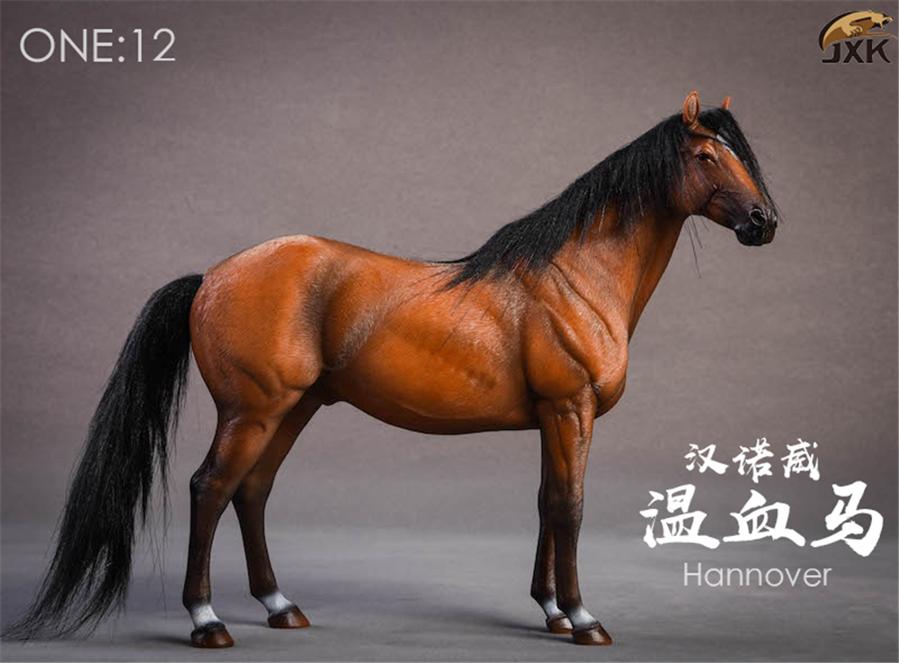 JXK 1:12 Scale German Hannover Horse Animal Model Healing Figure Equidae Animal Collector Toy Resin Desktop Decoration Gift JXK 1:12 Scale German Hannover Horse Animal Model Healing Figure Equidae Animal Collector Toy Resin Desktop Decoration Gift