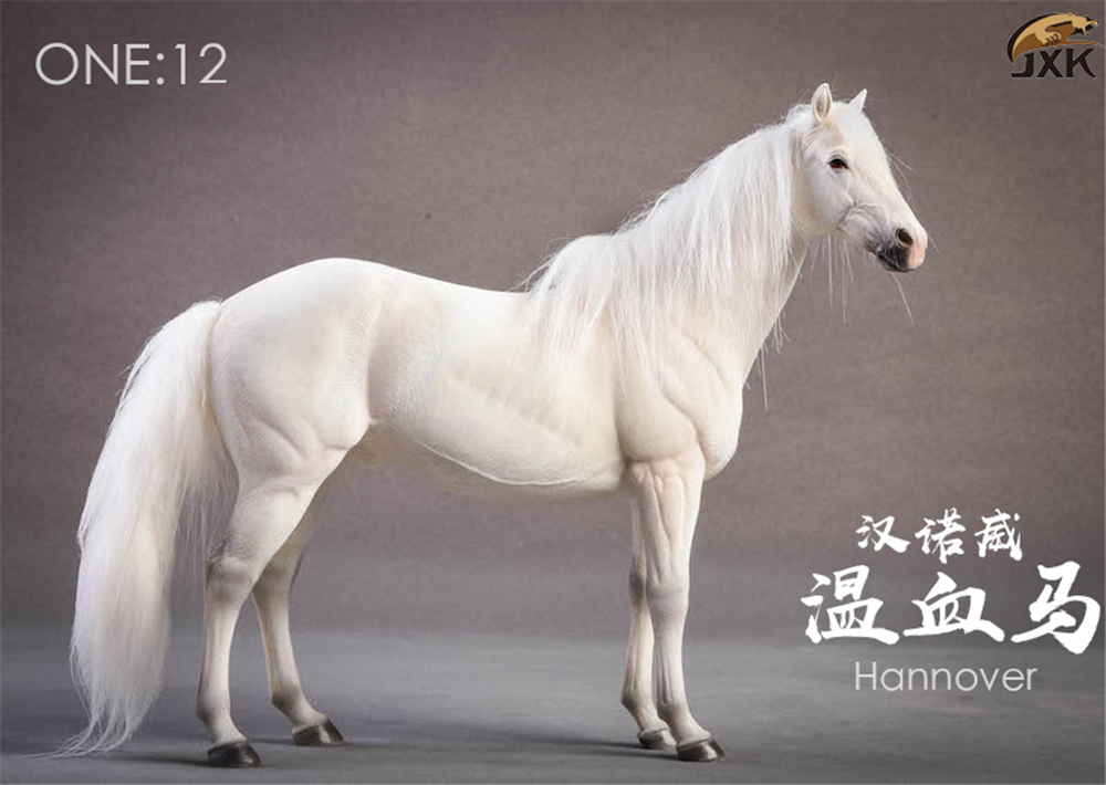 JXK 1:12 Scale German Hannover Horse Animal Model Healing Figure Equidae Animal Collector Toy Resin Desktop Decoration Gift JXK 1:12 Scale German Hannover Horse Animal Model Healing Figure Equidae Animal Collector Toy Resin Desktop Decoration Gift
