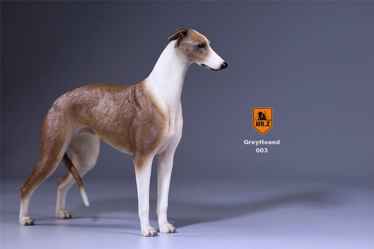 Mr.Z 1:6 Scale Greyhound Whippet Dog Pet Healing Figure Animal Model Toy Collector Desktop Decoration Adult Gift