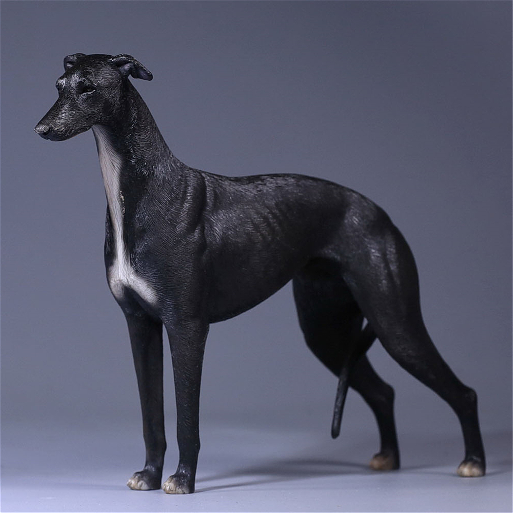 Mr.Z 1:6 Scale Greyhound Whippet Dog Pet Healing Figure Animal Model Toy Collector Desktop Decoration Adult Gift