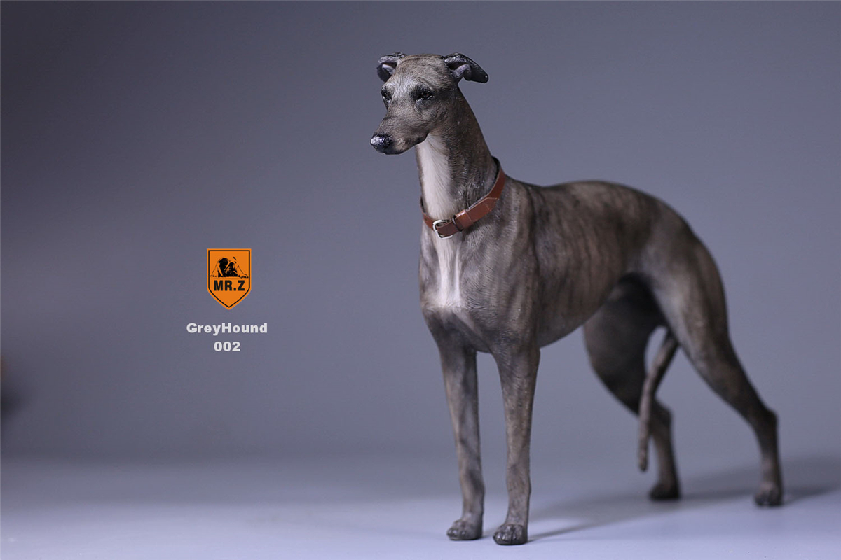 Mr.Z 1:6 Scale Greyhound Whippet Dog Pet Healing Figure Animal Model Toy Collector Desktop Decoration Adult Gift