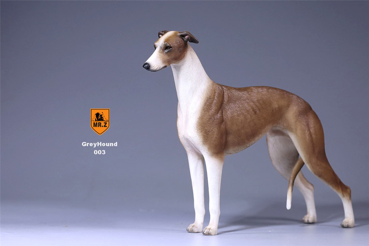 Mr.Z 1:6 Scale Greyhound Whippet Dog Pet Healing Figure Animal Model Toy Collector Desktop Decoration Adult Gift