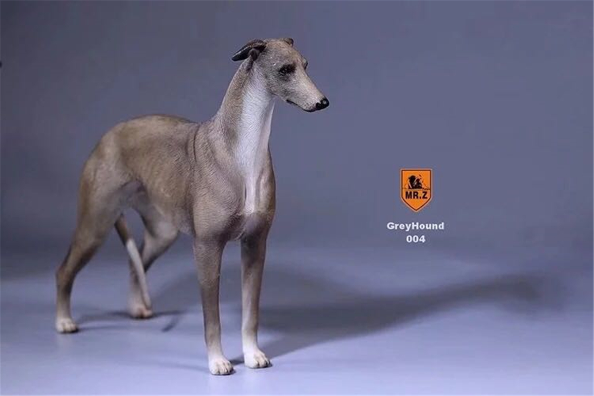 Mr.Z 1:6 Scale Greyhound Whippet Dog Pet Healing Figure Animal Model Toy Collector Desktop Decoration Adult Gift