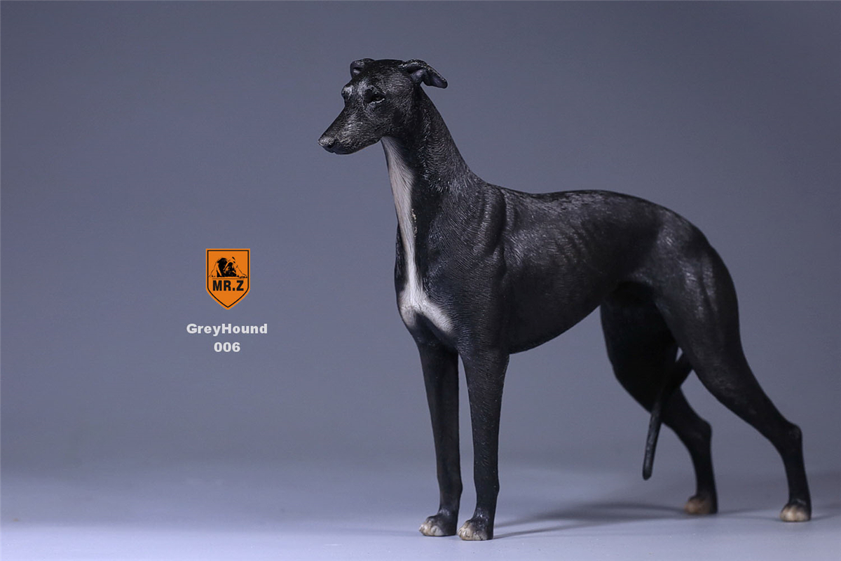 Mr.Z 1:6 Scale Greyhound Whippet Dog Pet Healing Figure Animal Model Toy Collector Desktop Decoration Adult Gift