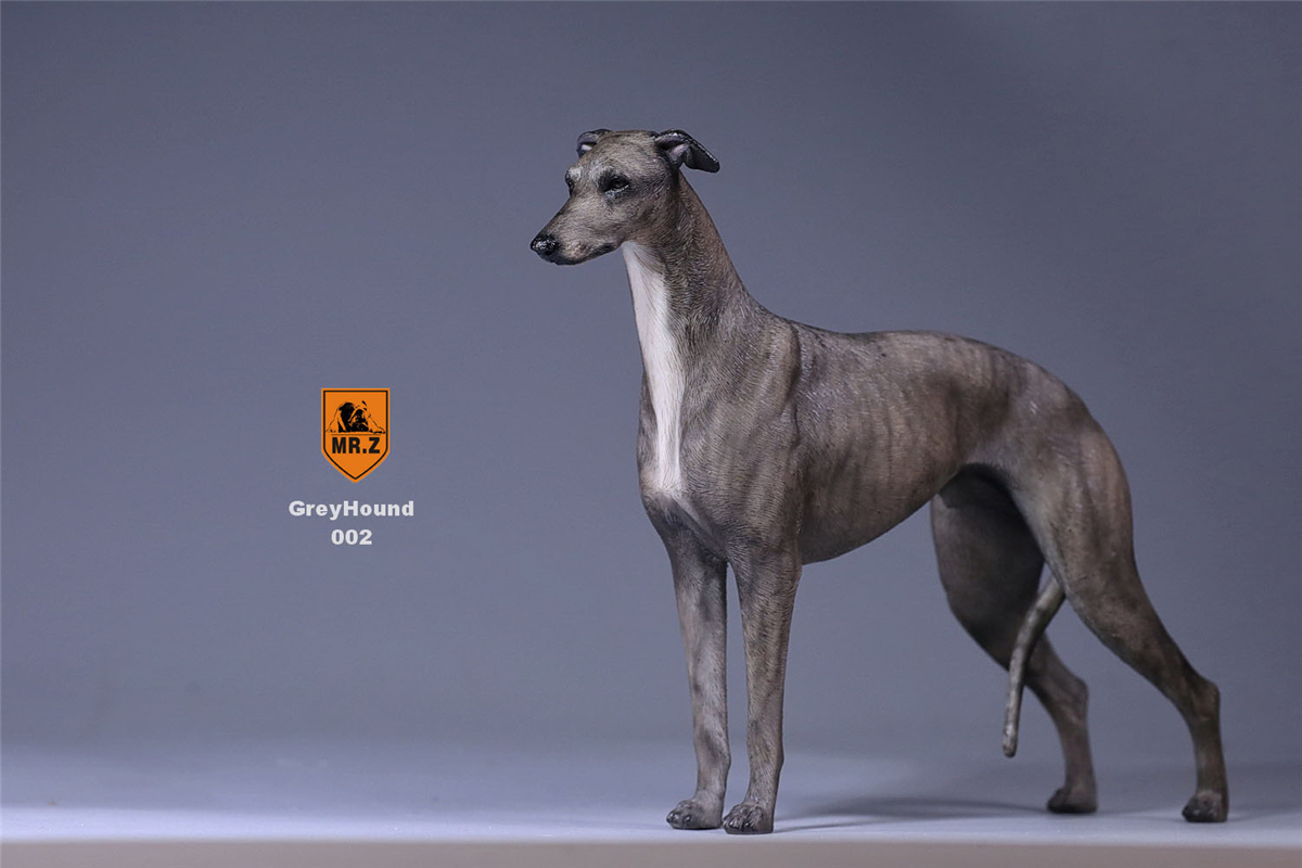 Mr.Z 1:6 Scale Greyhound Whippet Dog Pet Healing Figure Animal Model Toy Collector Desktop Decoration Adult Gift