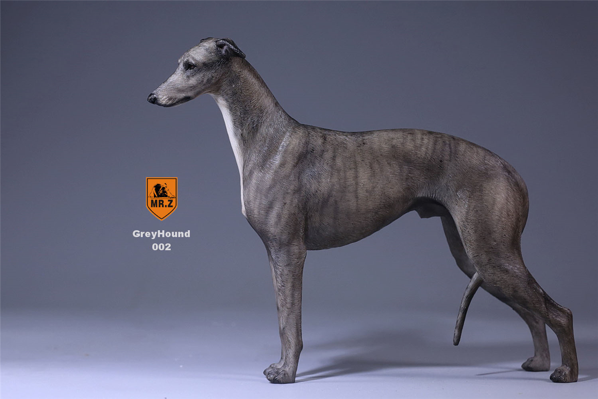 Mr.Z 1:6 Scale Greyhound Whippet Dog Pet Healing Figure Animal Model Toy Collector Desktop Decoration Adult Gift