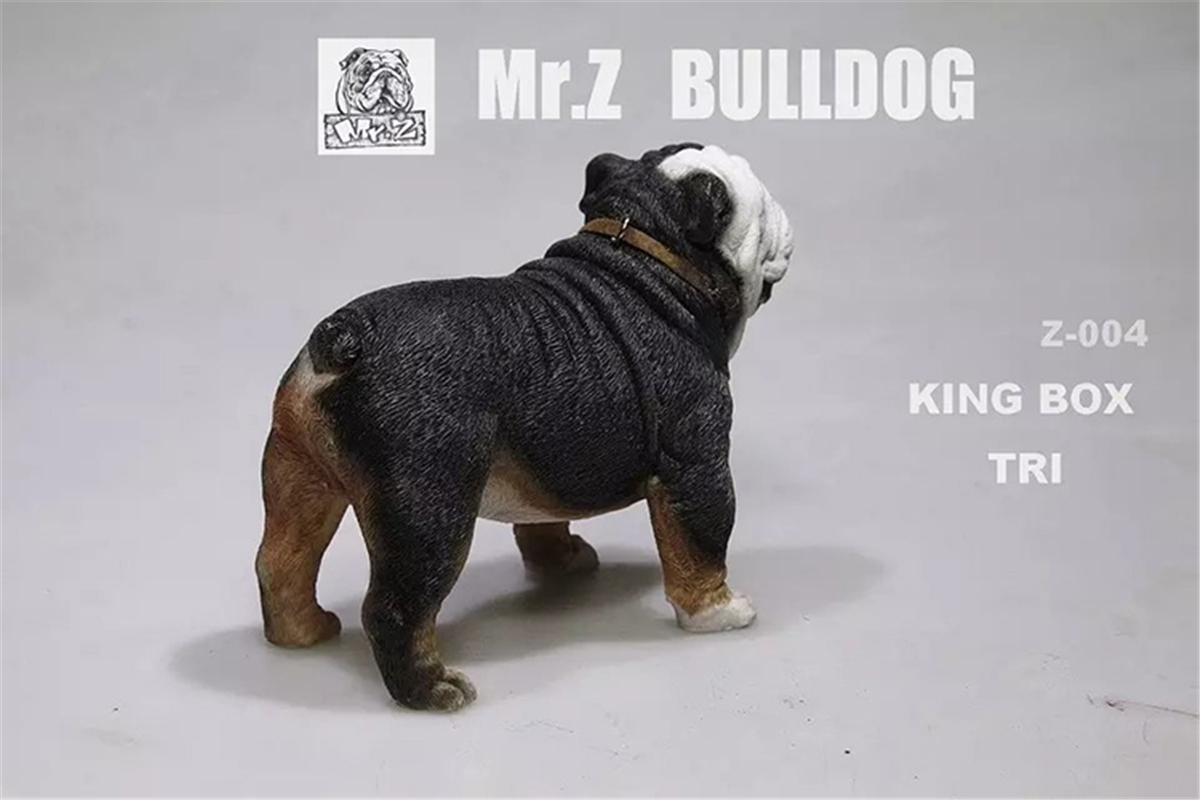 Mr.Z 1:6 Scale British Bulldog Bull Dog Pet Healing Figure Animal Model Toy Collector Desktop Decoration Adult Gift Mr.Z 1:6 Scale British Bulldog Bull Dog Pet Healing Figure Animal Model Toy Collector Desktop Decoration Adult Gift