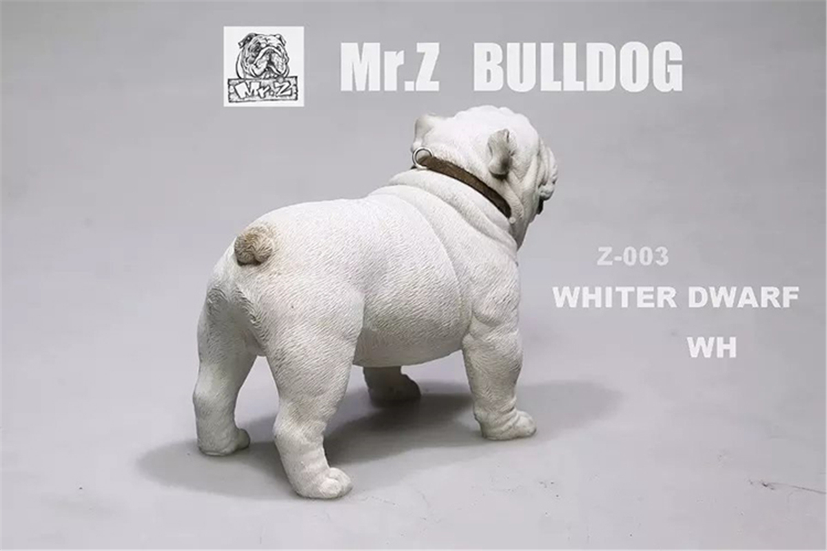 Mr.Z 1:6 Scale British Bulldog Bull Dog Pet Healing Figure Animal Model Toy Collector Desktop Decoration Adult Gift Mr.Z 1:6 Scale British Bulldog Bull Dog Pet Healing Figure Animal Model Toy Collector Desktop Decoration Adult Gift