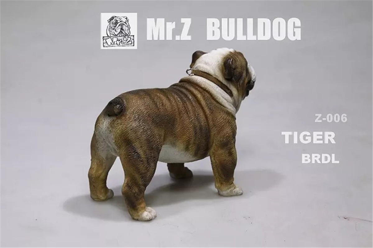 Mr.Z 1:6 Scale British Bulldog Bull Dog Pet Healing Figure Animal Model Toy Collector Desktop Decoration Adult Gift Mr.Z 1:6 Scale British Bulldog Bull Dog Pet Healing Figure Animal Model Toy Collector Desktop Decoration Adult Gift