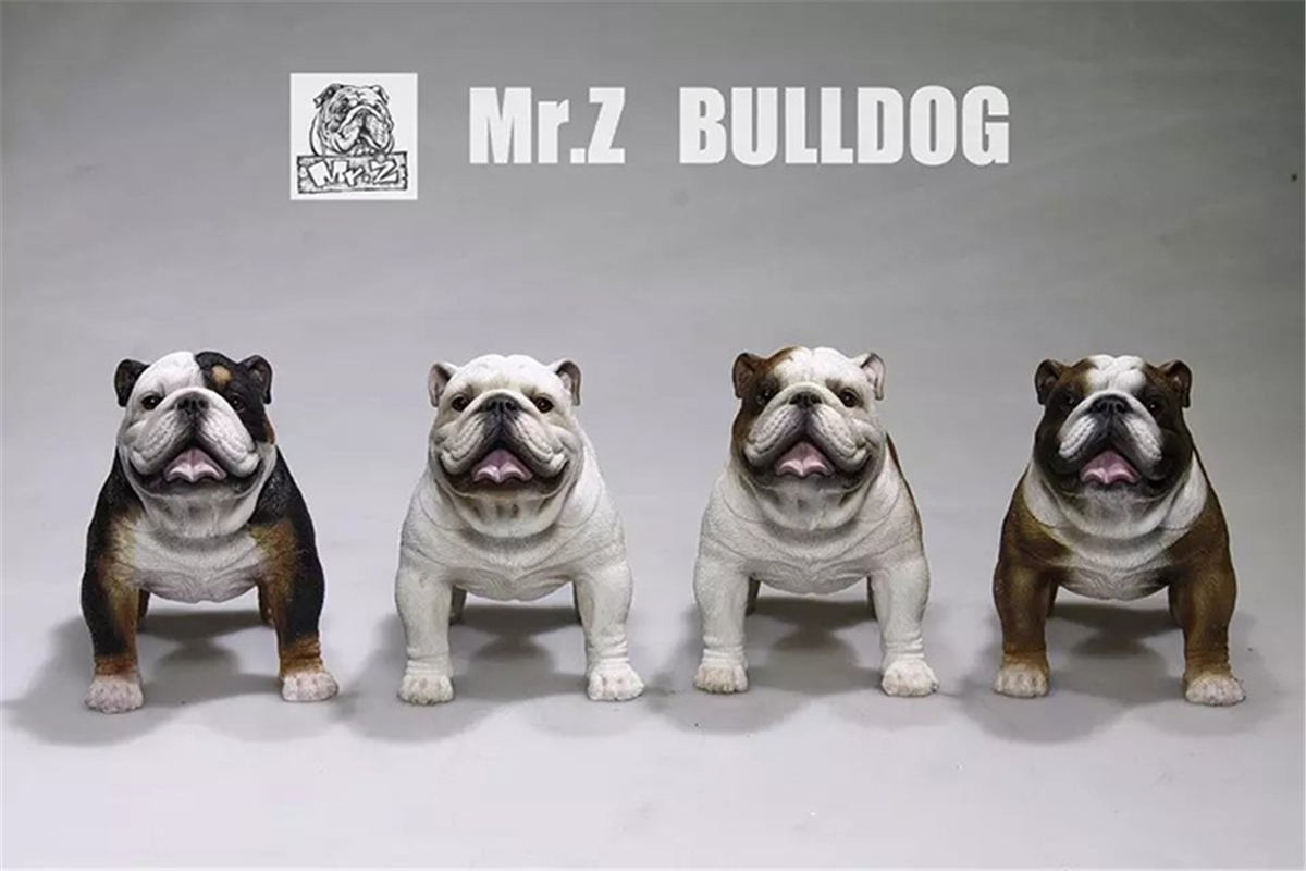 Mr.Z 1:6 Scale British Bulldog Bull Dog Pet Healing Figure Animal Model Toy Collector Desktop Decoration Adult Gift Mr.Z 1:6 Scale British Bulldog Bull Dog Pet Healing Figure Animal Model Toy Collector Desktop Decoration Adult Gift