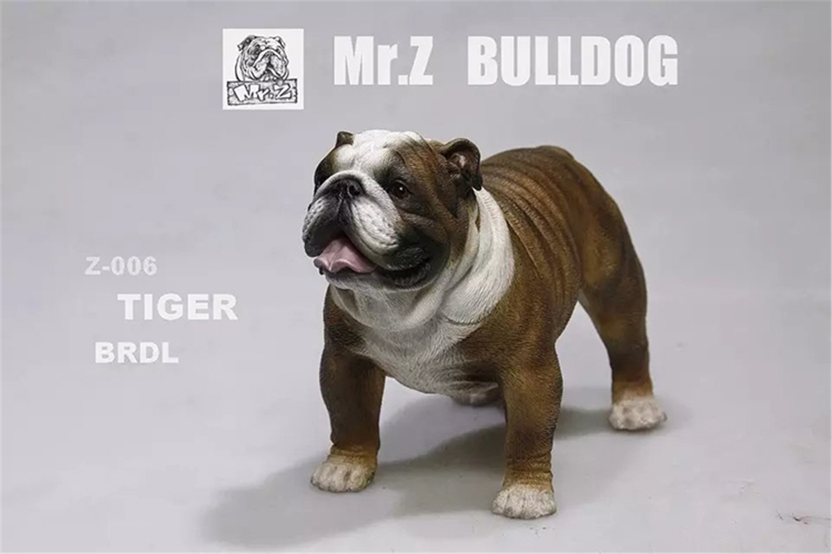 Mr.Z 1:6 Scale British Bulldog Bull Dog Pet Healing Figure Animal Model Toy Collector Desktop Decoration Adult Gift Mr.Z 1:6 Scale British Bulldog Bull Dog Pet Healing Figure Animal Model Toy Collector Desktop Decoration Adult Gift