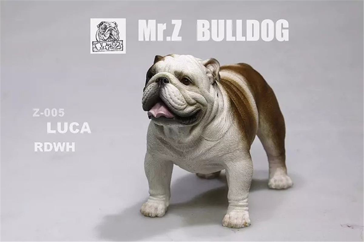 Mr.Z 1:6 Scale British Bulldog Bull Dog Pet Healing Figure Animal Model Toy Collector Desktop Decoration Adult Gift Mr.Z 1:6 Scale British Bulldog Bull Dog Pet Healing Figure Animal Model Toy Collector Desktop Decoration Adult Gift