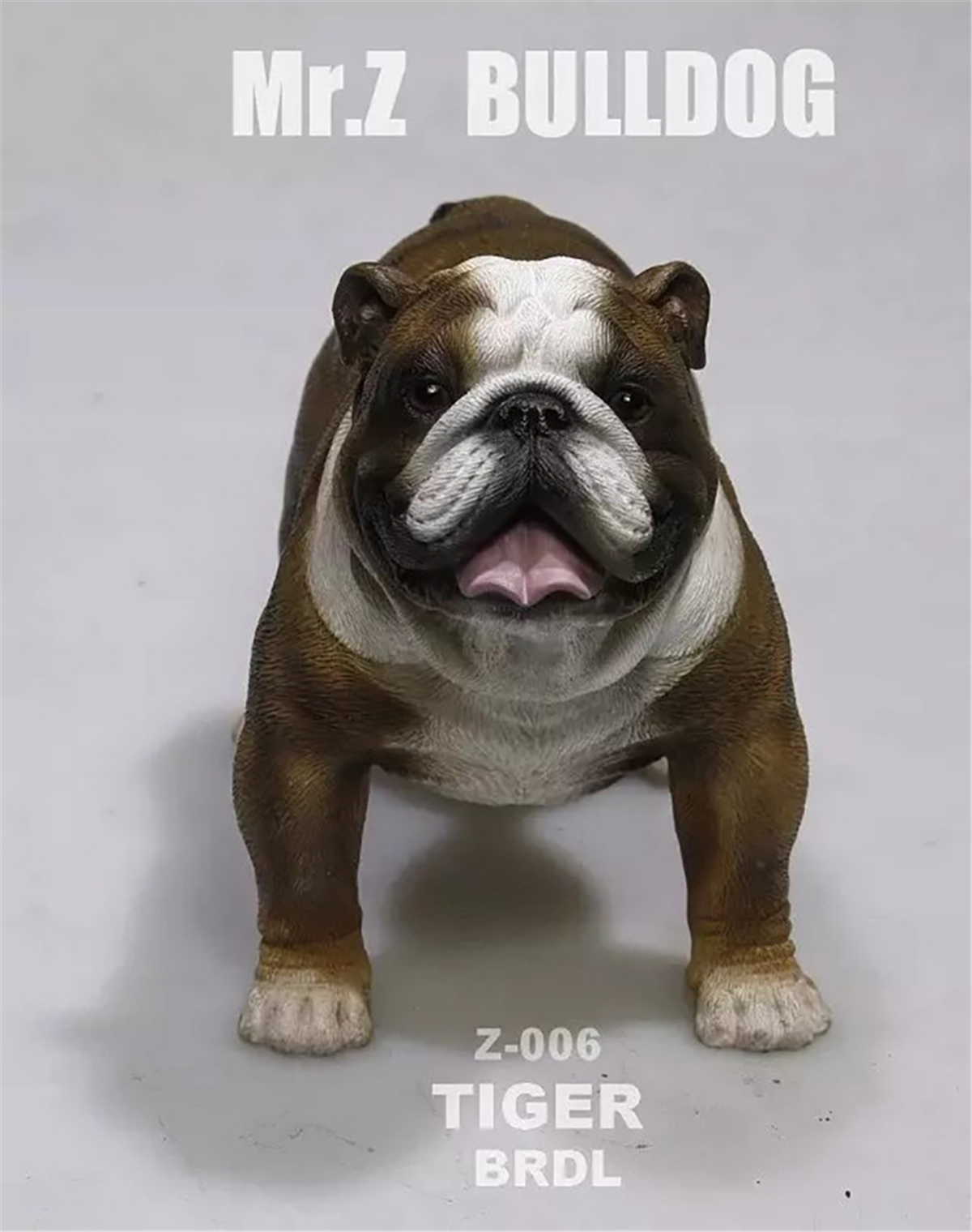 Mr.Z 1:6 Scale British Bulldog Bull Dog Pet Healing Figure Animal Model Toy Collector Desktop Decoration Adult Gift Mr.Z 1:6 Scale British Bulldog Bull Dog Pet Healing Figure Animal Model Toy Collector Desktop Decoration Adult Gift