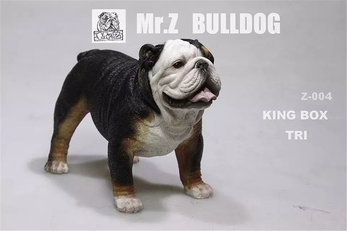 Mr.Z 1:6 Scale British Bulldog Bull Dog Pet Healing Figure Animal Model Toy Collector Desktop Decoration Adult Gift Mr.Z 1:6 Scale British Bulldog Bull Dog Pet Healing Figure Animal Model Toy Collector Desktop Decoration Adult Gift