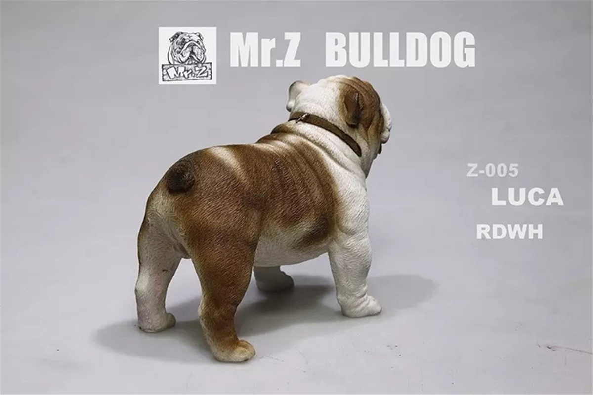 Mr.Z 1:6 Scale British Bulldog Bull Dog Pet Healing Figure Animal Model Toy Collector Desktop Decoration Adult Gift Mr.Z 1:6 Scale British Bulldog Bull Dog Pet Healing Figure Animal Model Toy Collector Desktop Decoration Adult Gift
