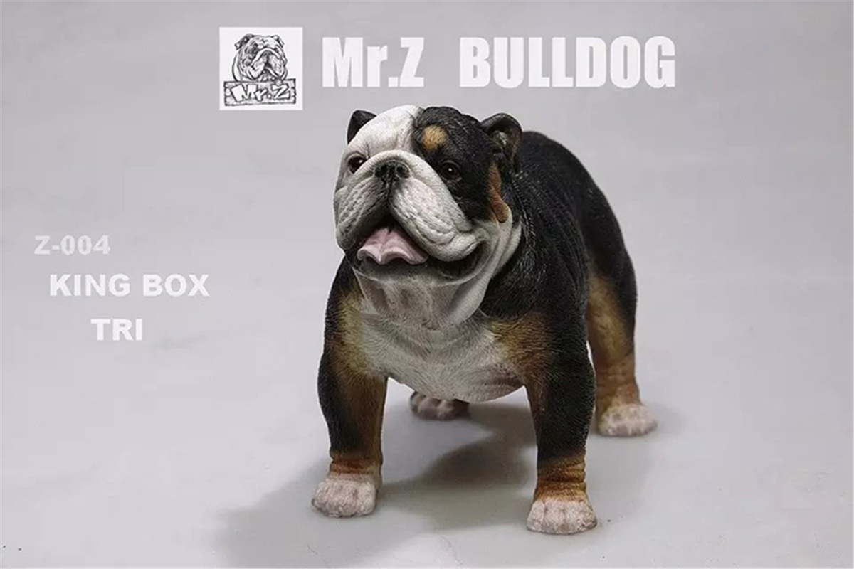 Mr.Z 1:6 Scale British Bulldog Bull Dog Pet Healing Figure Animal Model Toy Collector Desktop Decoration Adult Gift Mr.Z 1:6 Scale British Bulldog Bull Dog Pet Healing Figure Animal Model Toy Collector Desktop Decoration Adult Gift