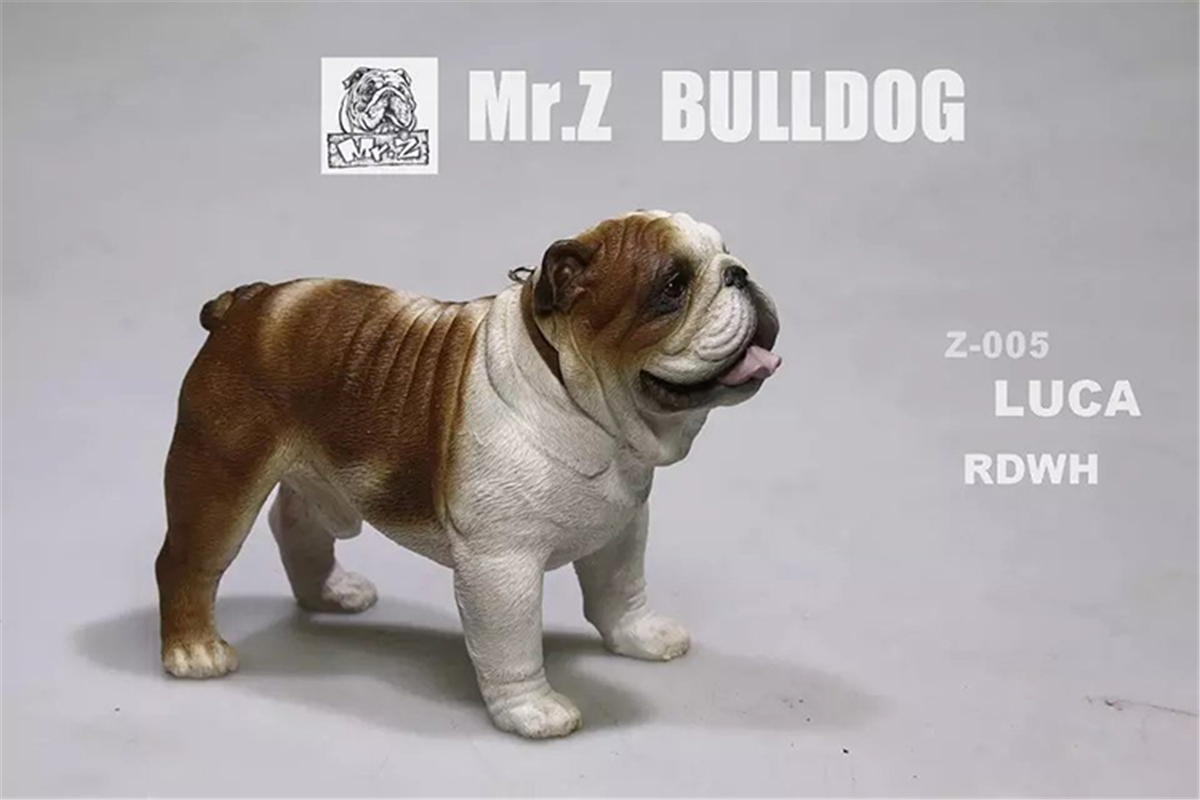 Mr.Z 1:6 Scale British Bulldog Bull Dog Pet Healing Figure Animal Model Toy Collector Desktop Decoration Adult Gift Mr.Z 1:6 Scale British Bulldog Bull Dog Pet Healing Figure Animal Model Toy Collector Desktop Decoration Adult Gift