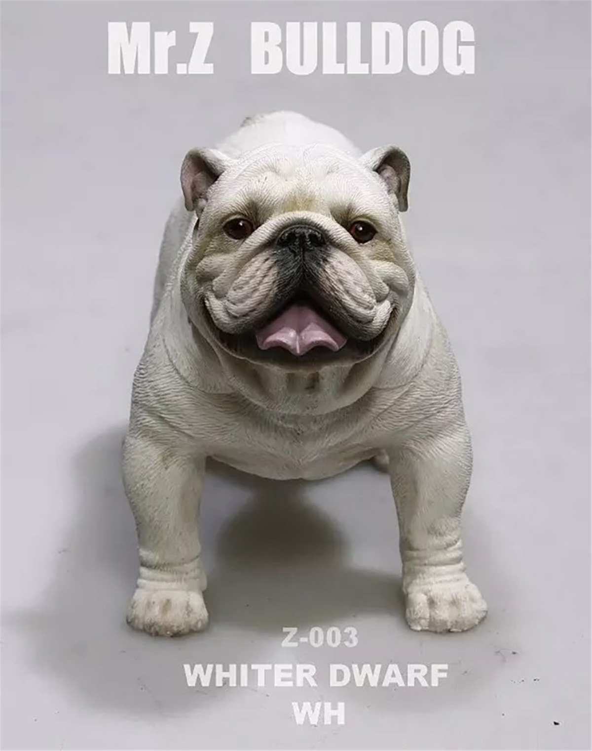 Mr.Z 1:6 Scale British Bulldog Bull Dog Pet Healing Figure Animal Model Toy Collector Desktop Decoration Adult Gift Mr.Z 1:6 Scale British Bulldog Bull Dog Pet Healing Figure Animal Model Toy Collector Desktop Decoration Adult Gift