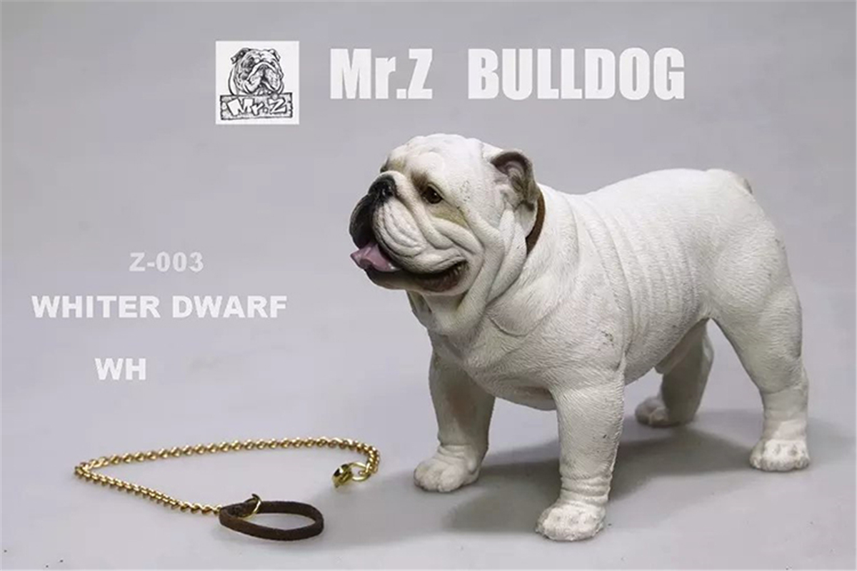 Mr.Z 1:6 Scale British Bulldog Bull Dog Pet Healing Figure Animal Model Toy Collector Desktop Decoration Adult Gift Mr.Z 1:6 Scale British Bulldog Bull Dog Pet Healing Figure Animal Model Toy Collector Desktop Decoration Adult Gift