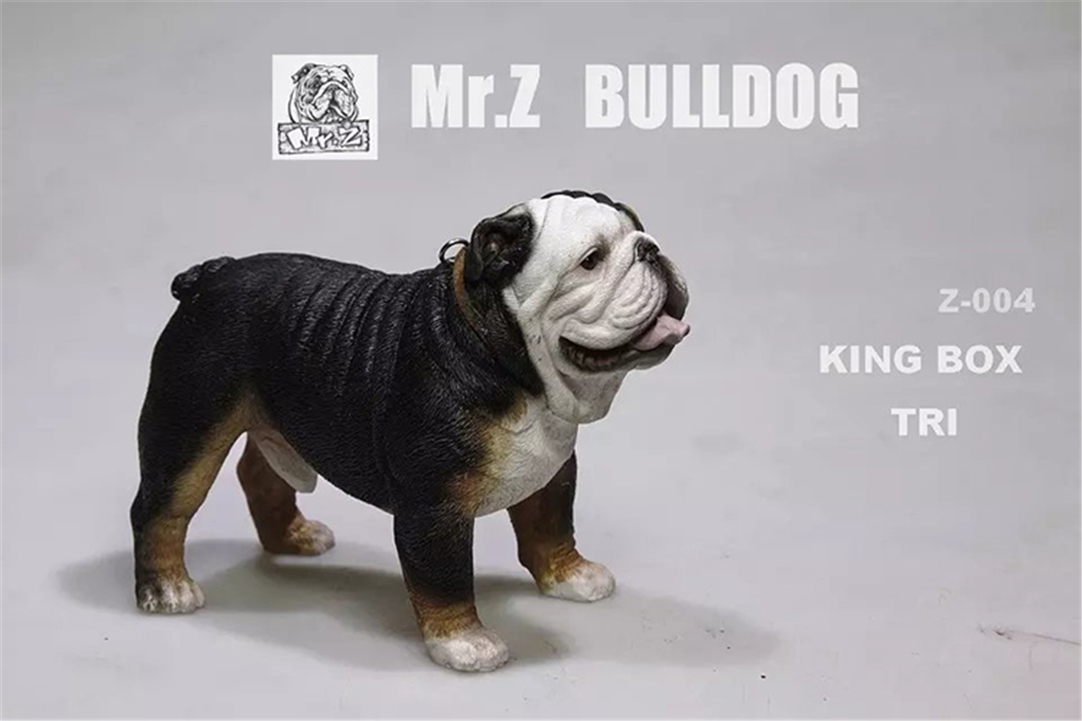 Mr.Z 1:6 Scale British Bulldog Bull Dog Pet Healing Figure Animal Model Toy Collector Desktop Decoration Adult Gift Mr.Z 1:6 Scale British Bulldog Bull Dog Pet Healing Figure Animal Model Toy Collector Desktop Decoration Adult Gift