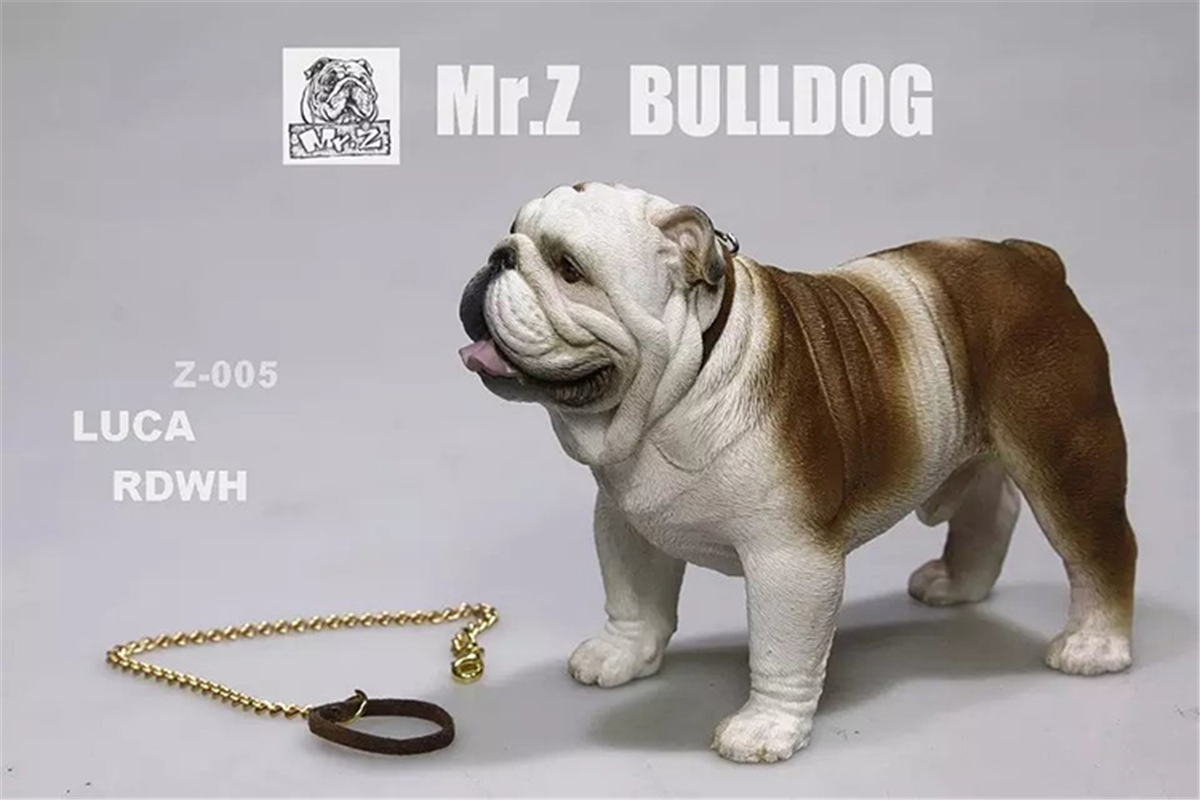 Mr.Z 1:6 Scale British Bulldog Bull Dog Pet Healing Figure Animal Model Toy Collector Desktop Decoration Adult Gift Mr.Z 1:6 Scale British Bulldog Bull Dog Pet Healing Figure Animal Model Toy Collector Desktop Decoration Adult Gift