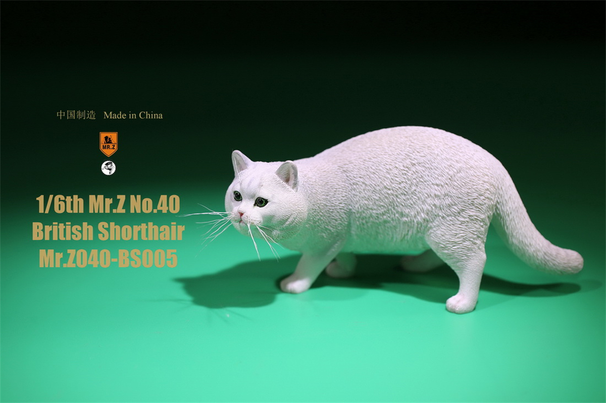 Mr.Z Studio 1:6 British Shorthair Cat Figure Cute Pet Animal Model Collector Toys Gfit Simulation Home Decoration Unisex Mr.Z Studio 1:6 British Shorthair Cat Figure Cute Pet Animal Model Collector Toys Gfit Simulation Home Decoration Unisex