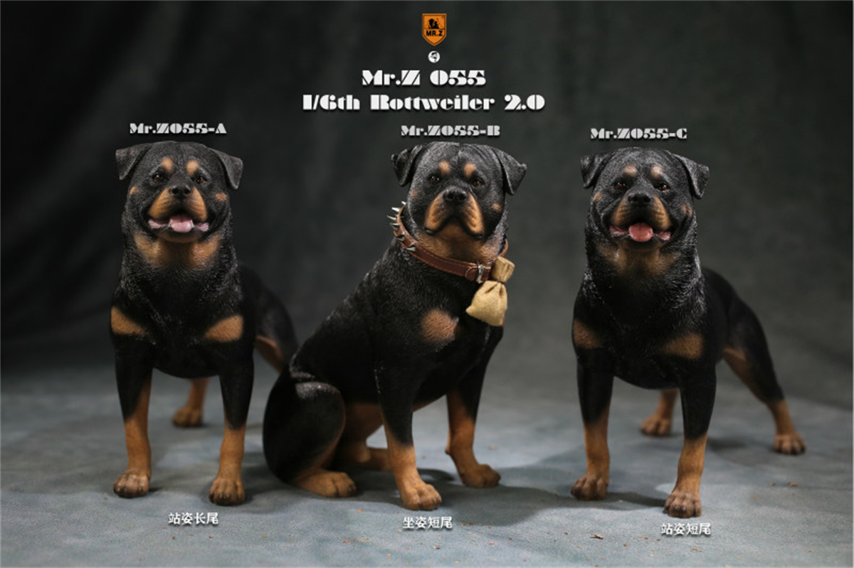 Mr.Z Studio 1:6 Rottweiler Figure Cute Police Pet Dog Animal Model Collector Decor Kid Gift Resin Office Desktop Accessories Mr.Z Studio 1:6 Rottweiler Figure Cute Police Pet Dog Animal Model Collector Decor Kid Gift Resin Office Desktop Accessories