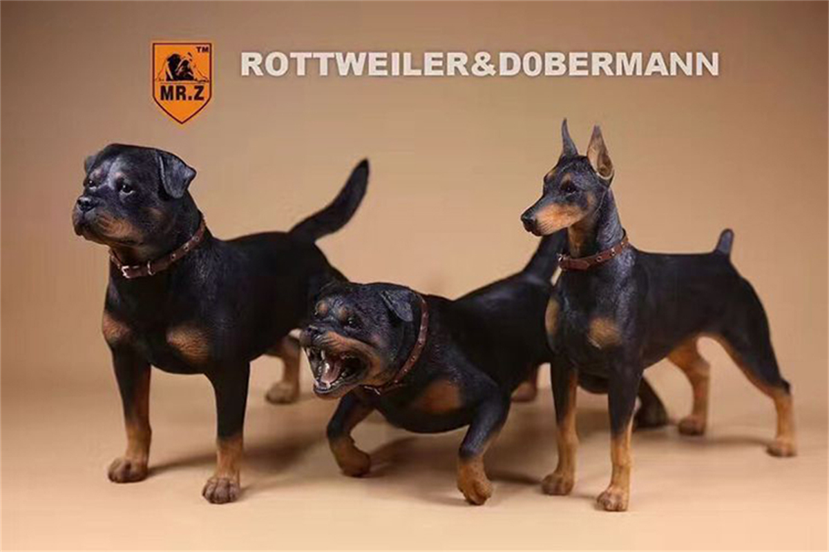 Mr.Z Studio 1:6 Rottweiler Figure Cute Police Pet Dog Animal Model Collector Decor Kid Gift Resin Office Desktop Accessories Mr.Z Studio 1:6 Rottweiler Figure Cute Police Pet Dog Animal Model Collector Decor Kid Gift Resin Office Desktop Accessories