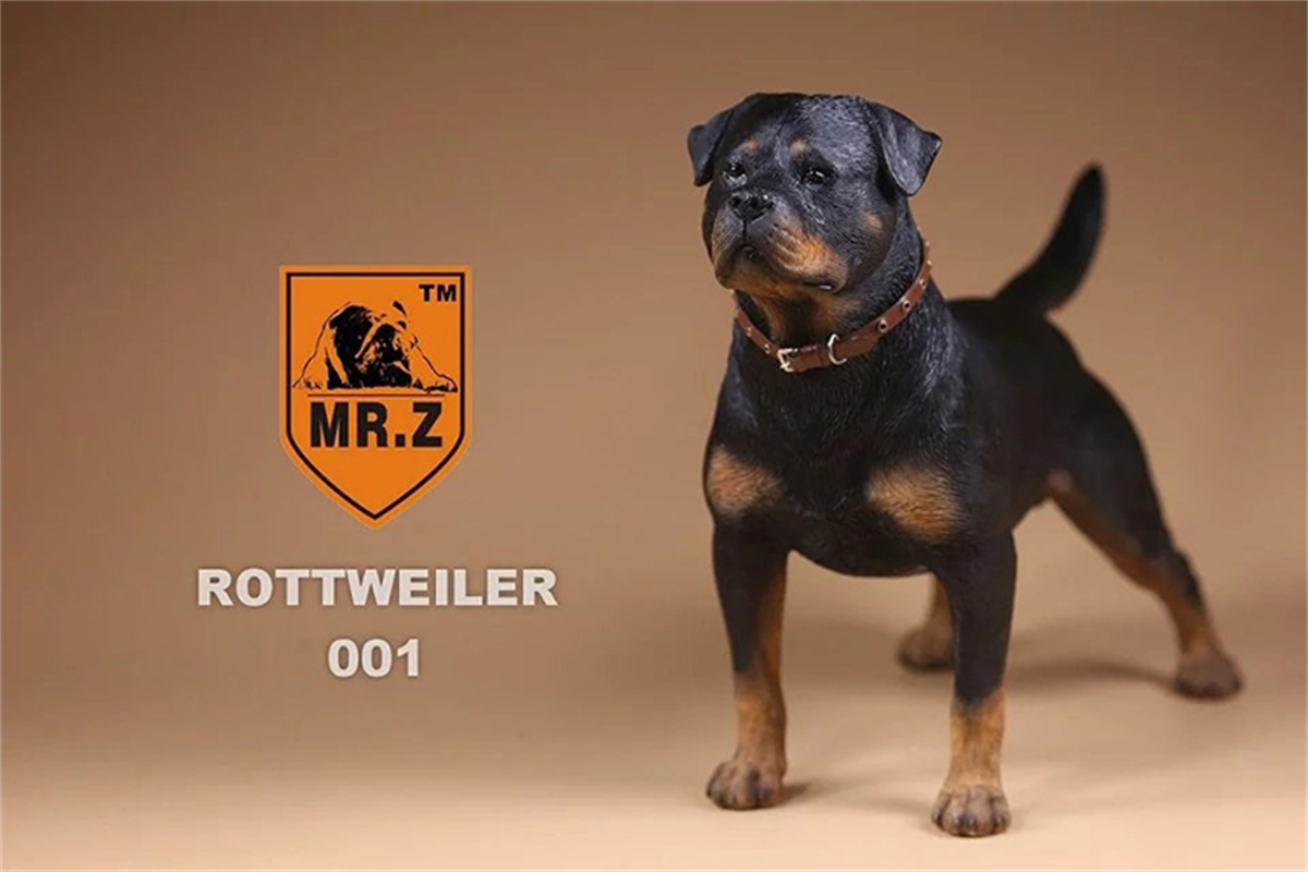 Mr.Z Studio 1:6 Rottweiler Figure Cute Police Pet Dog Animal Model Collector Decor Kid Gift Resin Office Desktop Accessories Mr.Z Studio 1:6 Rottweiler Figure Cute Police Pet Dog Animal Model Collector Decor Kid Gift Resin Office Desktop Accessories