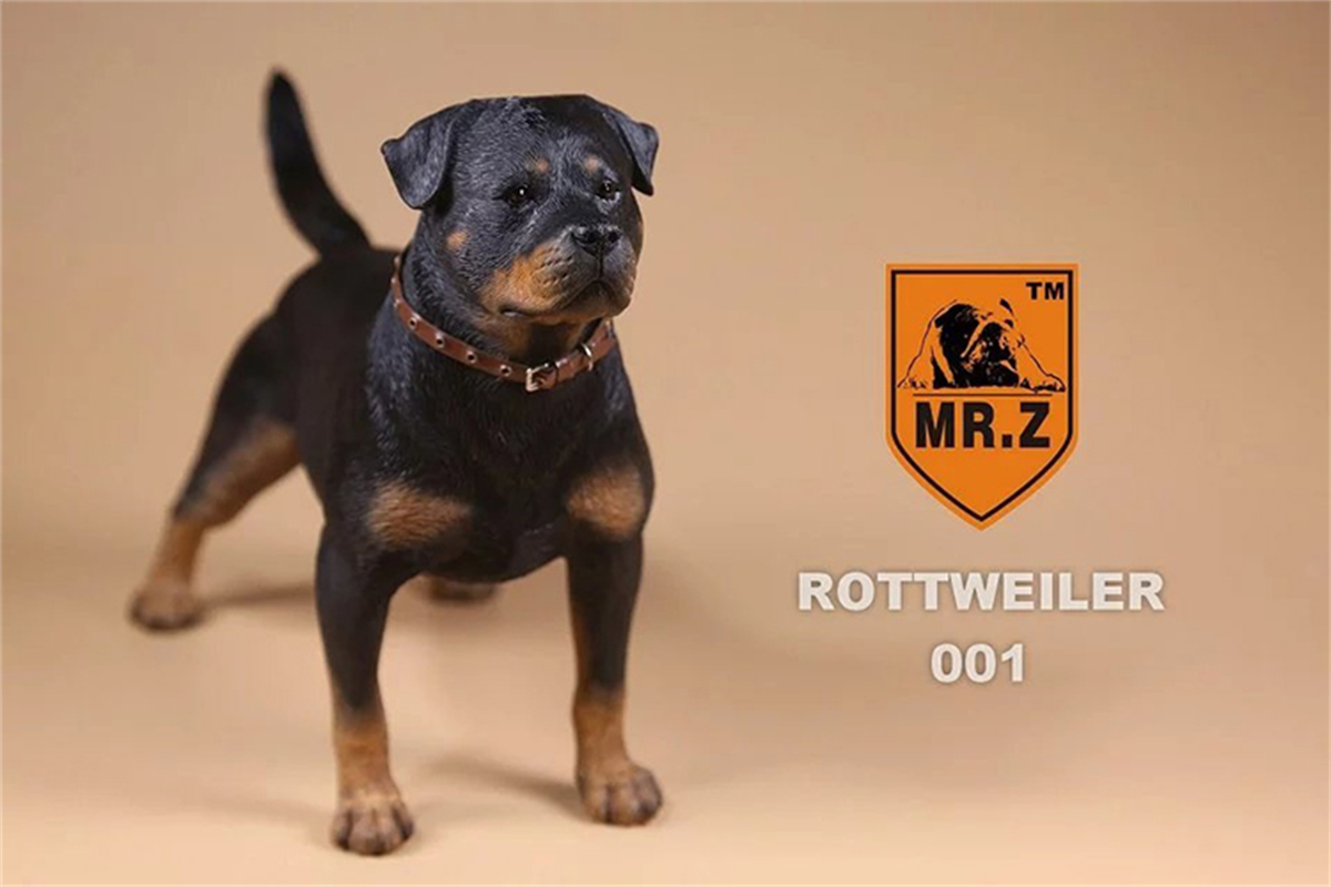 Mr.Z Studio 1:6 Rottweiler Figure Cute Police Pet Dog Animal Model Collector Decor Kid Gift Resin Office Desktop Accessories Mr.Z Studio 1:6 Rottweiler Figure Cute Police Pet Dog Animal Model Collector Decor Kid Gift Resin Office Desktop Accessories