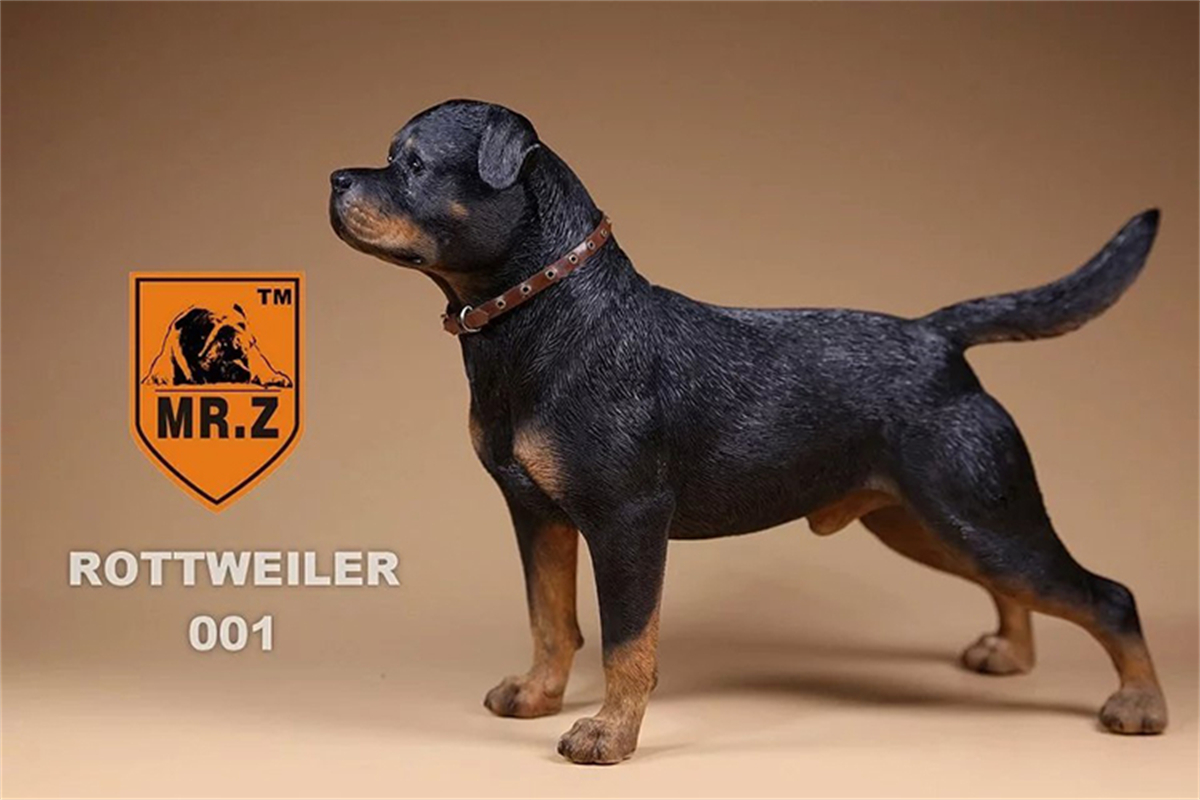 Mr.Z Studio 1:6 Rottweiler Figure Cute Police Pet Dog Animal Model Collector Decor Kid Gift Resin Office Desktop Accessories Mr.Z Studio 1:6 Rottweiler Figure Cute Police Pet Dog Animal Model Collector Decor Kid Gift Resin Office Desktop Accessories