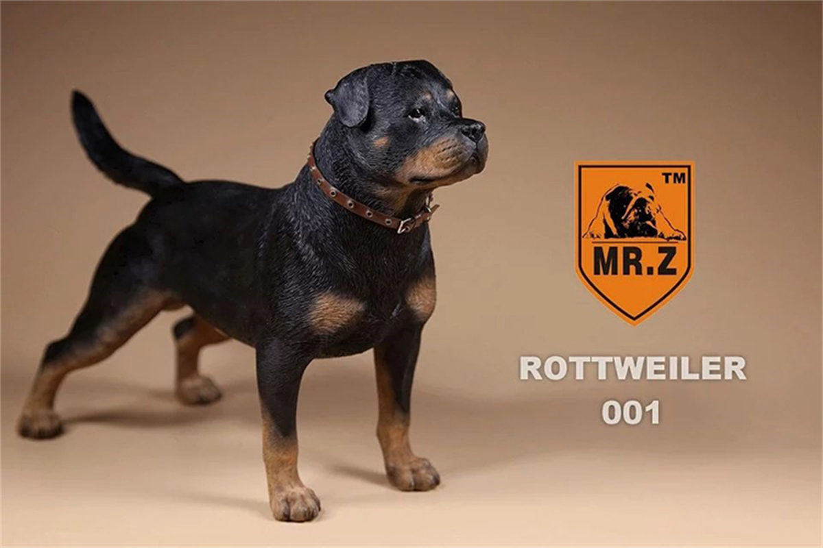 Mr.Z Studio 1:6 Rottweiler Figure Cute Police Pet Dog Animal Model Collector Decor Kid Gift Resin Office Desktop Accessories Mr.Z Studio 1:6 Rottweiler Figure Cute Police Pet Dog Animal Model Collector Decor Kid Gift Resin Office Desktop Accessories