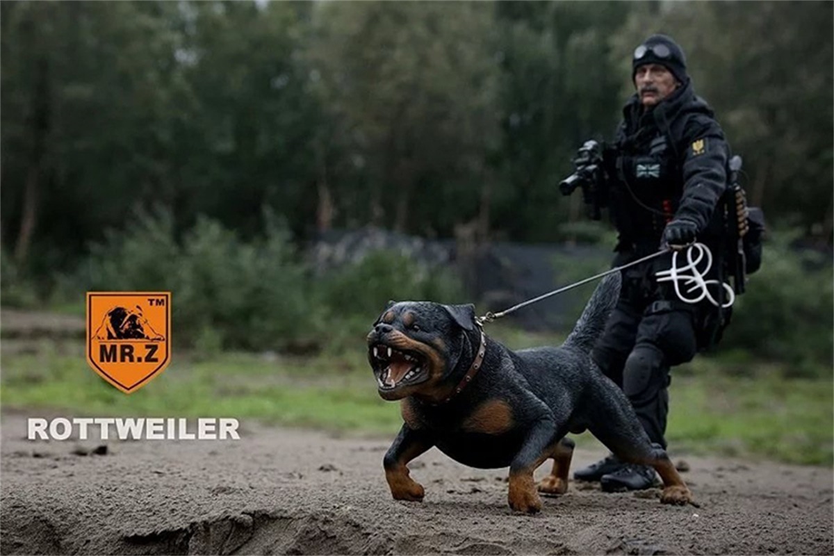 Mr.Z Studio 1:6 Rottweiler Figure Cute Police Pet Dog Animal Model Collector Decor Kid Gift Resin Office Desktop Accessories Mr.Z Studio 1:6 Rottweiler Figure Cute Police Pet Dog Animal Model Collector Decor Kid Gift Resin Office Desktop Accessories