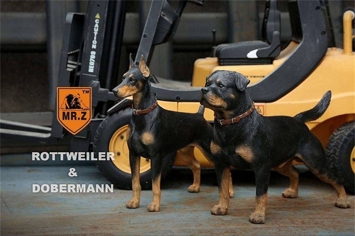 Mr.Z Studio 1:6 Rottweiler Figure Cute Police Pet Dog Animal Model Collector Decor Kid Gift Resin Office Desktop Accessories Mr.Z Studio 1:6 Rottweiler Figure Cute Police Pet Dog Animal Model Collector Decor Kid Gift Resin Office Desktop Accessories