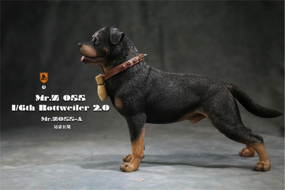 Mr.Z Studio 1:6 Rottweiler Figure Cute Police Pet Dog Animal Model Collector Decor Kid Gift Resin Office Desktop Accessories Mr.Z Studio 1:6 Rottweiler Figure Cute Police Pet Dog Animal Model Collector Decor Kid Gift Resin Office Desktop Accessories