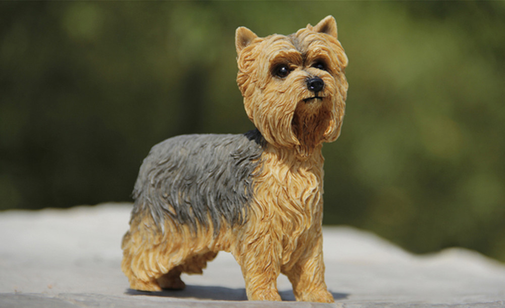 JJM British Yorkshire Terrier Youkshire Dog Pet Figure Collector Toy Car Decoration Animal Resin Model Educational for Kids JJM British Yorkshire Terrier Youkshire Dog Pet Figure Collector Toy Car Decoration Animal Resin Model Educational for Kids