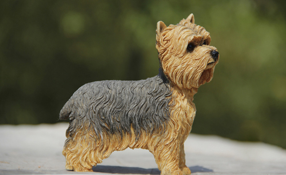 JJM British Yorkshire Terrier Youkshire Dog Pet Figure Collector Toy Car Decoration Animal Resin Model Educational for Kids JJM British Yorkshire Terrier Youkshire Dog Pet Figure Collector Toy Car Decoration Animal Resin Model Educational for Kids