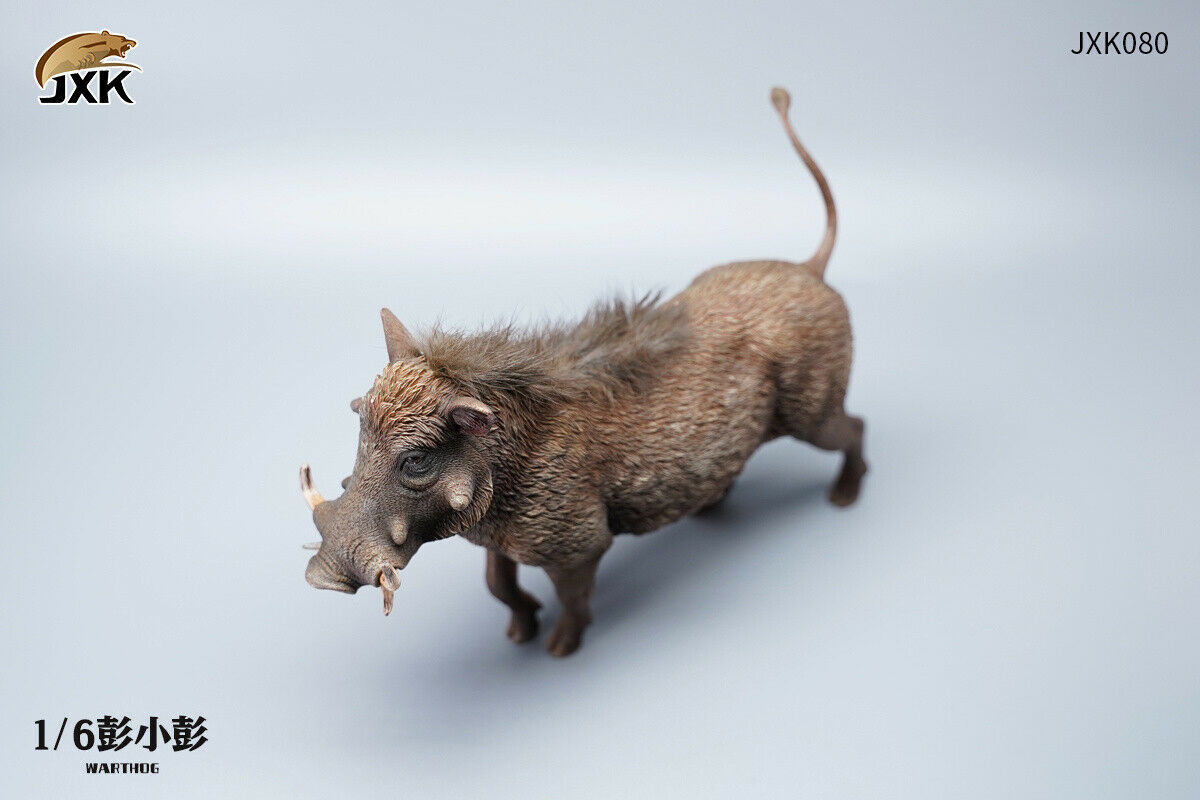 JXK 1/6 Lion's Buddy Model Suricate Pig Warthog Lionet Figure Animal Collect Christmas Decoration Ornaments Adults Kids Gift