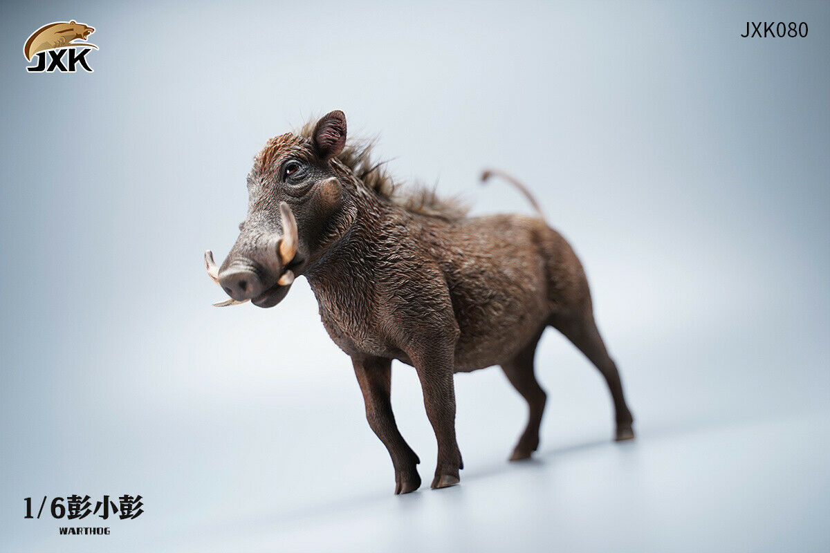 JXK 1/6 Lion's Buddy Model Suricate Pig Warthog Lionet Figure Animal Collect Christmas Decoration Ornaments Adults Kids Gift