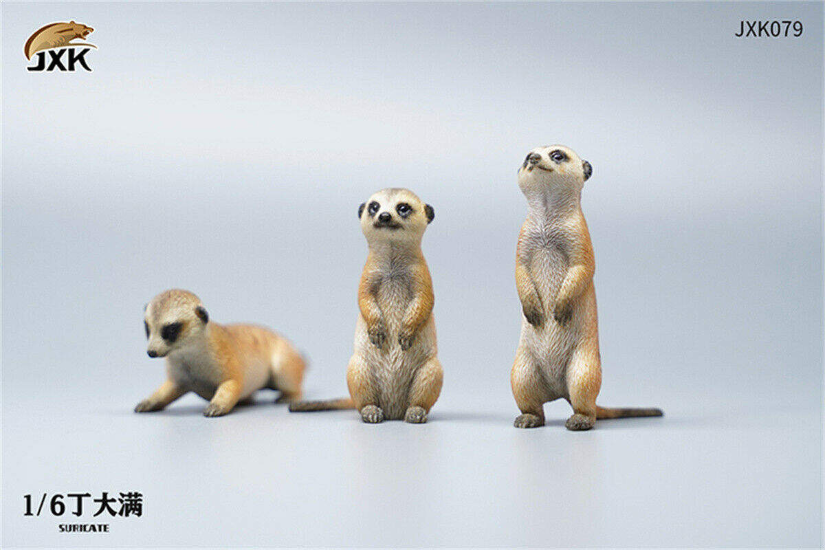 JXK 1/6 Lion's Buddy Model Suricate Pig Warthog Lionet Figure Animal Collect Christmas Decoration Ornaments Adults Kids Gift