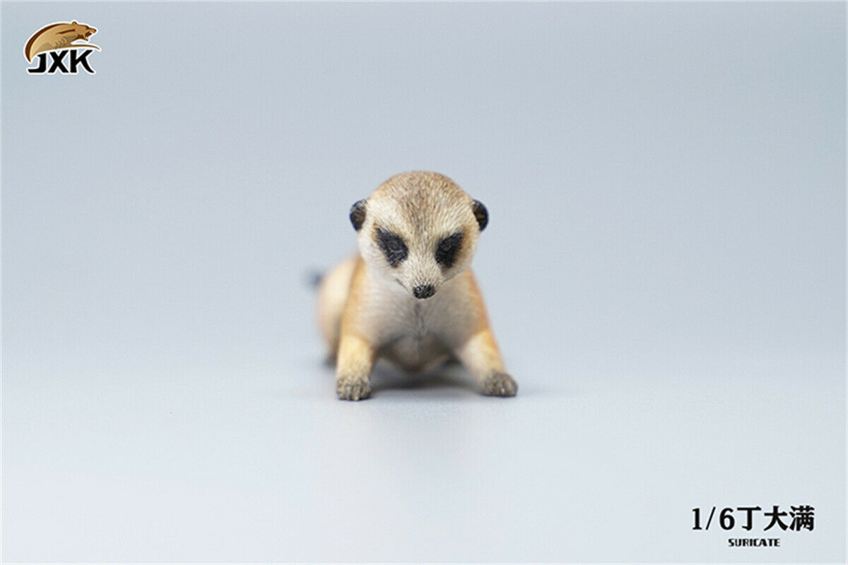 JXK 1/6 Lion's Buddy Model Suricate Pig Warthog Lionet Figure Animal Collect Christmas Decoration Ornaments Adults Kids Gift