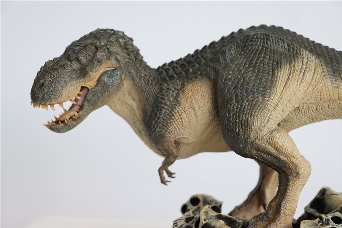 IN STOCK! Nanmu 1:35 Vastatosaurus Rex Shadow Monarch Figure V-Rex V Rex Tyrannosaurus Dinosaur Toy Collector Animal Adult IN STOCK! Nanmu 1:35 Vastatosaurus Rex Shadow Monarch Figure V-Rex V Rex Tyrannosaurus Dinosaur Toy Collector Animal Adult