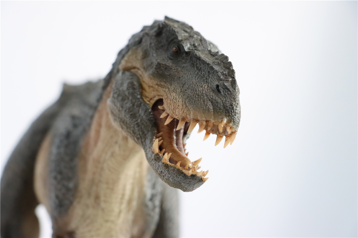 IN STOCK! Nanmu 1:35 Vastatosaurus Rex Shadow Monarch Figure V-Rex V Rex Tyrannosaurus Dinosaur Toy Collector Animal Adult IN STOCK! Nanmu 1:35 Vastatosaurus Rex Shadow Monarch Figure V-Rex V Rex Tyrannosaurus Dinosaur Toy Collector Animal Adult