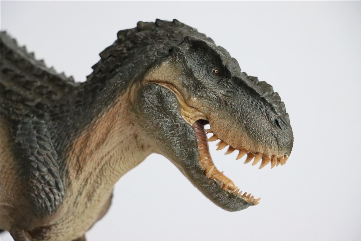 IN STOCK! Nanmu 1:35 Vastatosaurus Rex Shadow Monarch Figure V-Rex V Rex Tyrannosaurus Dinosaur Toy Collector Animal Adult IN STOCK! Nanmu 1:35 Vastatosaurus Rex Shadow Monarch Figure V-Rex V Rex Tyrannosaurus Dinosaur Toy Collector Animal Adult