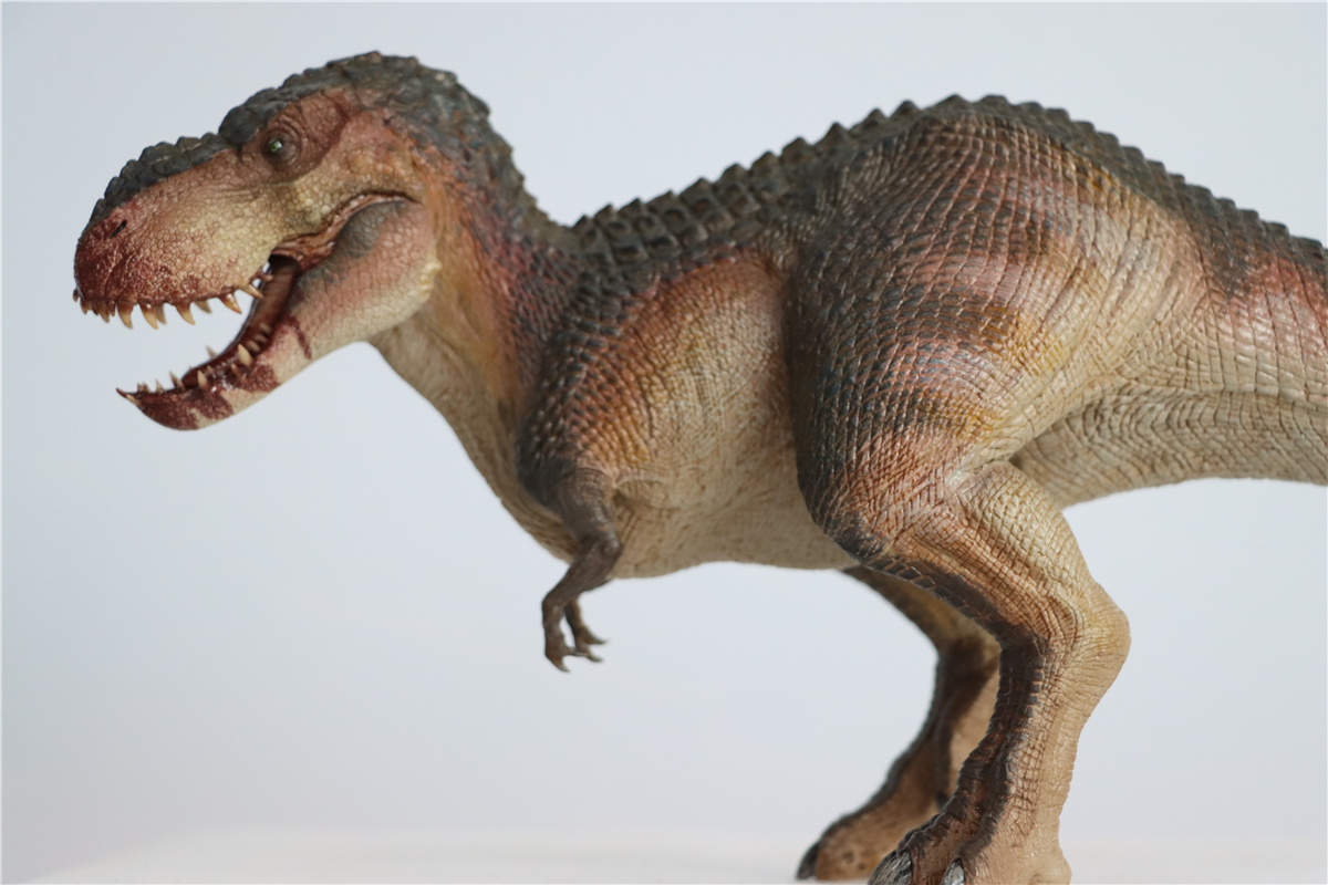 IN STOCK! Nanmu 1:35 Vastatosaurus Rex Shadow Monarch Figure V-Rex V Rex Tyrannosaurus Dinosaur Toy Collector Animal Adult IN STOCK! Nanmu 1:35 Vastatosaurus Rex Shadow Monarch Figure V-Rex V Rex Tyrannosaurus Dinosaur Toy Collector Animal Adult