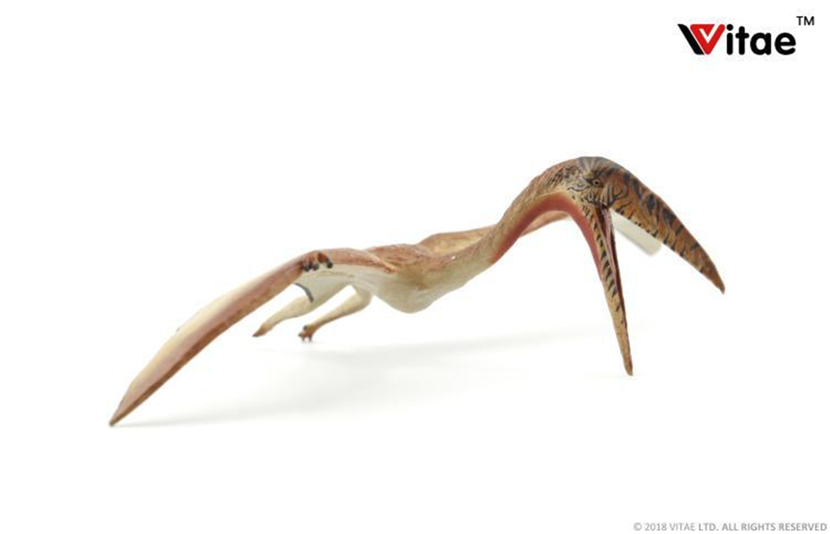 IN STOCK! Vitae Zhejiangopterus Figure Dinosaur Toys Animal Collector Decoration Adults Gift