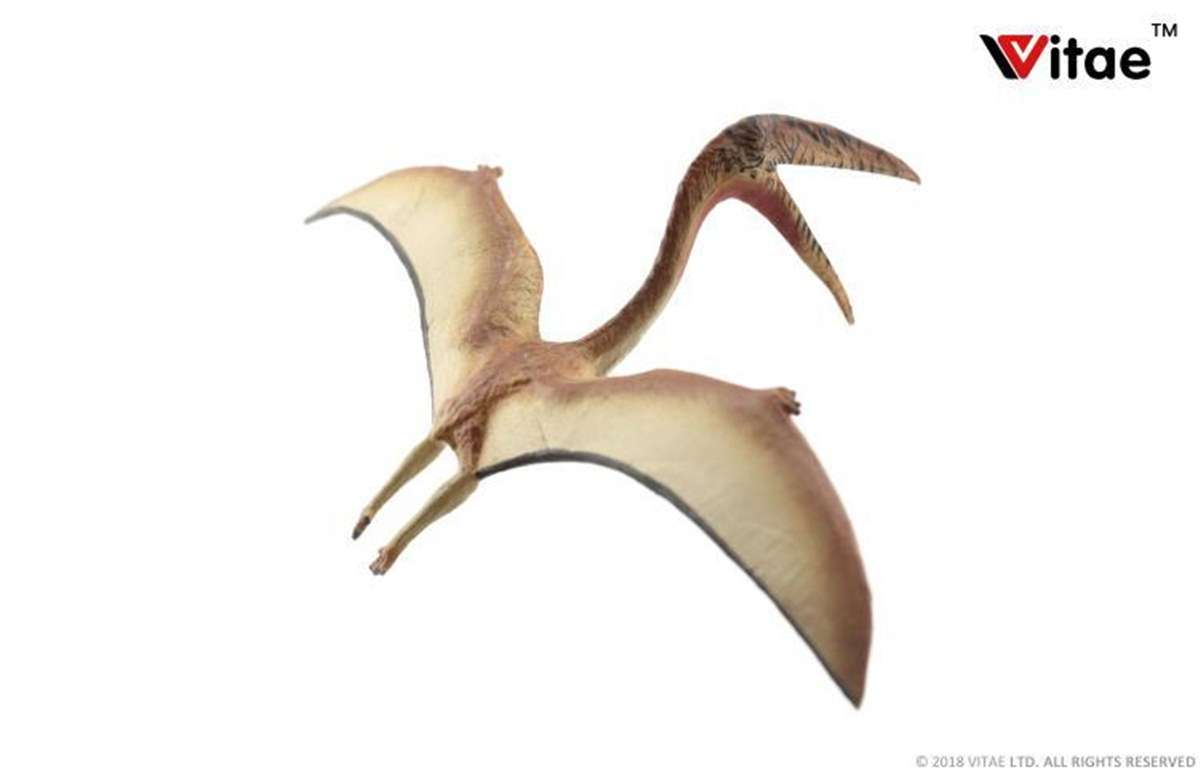 IN STOCK! Vitae Zhejiangopterus Figure Dinosaur Toys Animal Collector Decoration Adults Gift